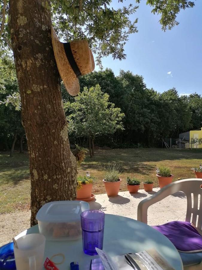 Villa Tiny House Dora Marčana Esterno foto